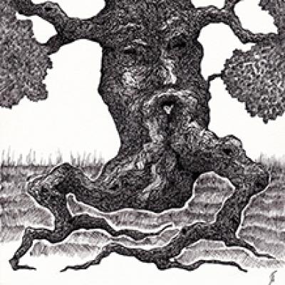 En forêt