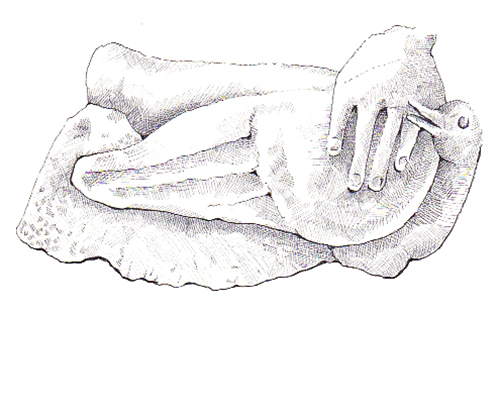 Oiseau